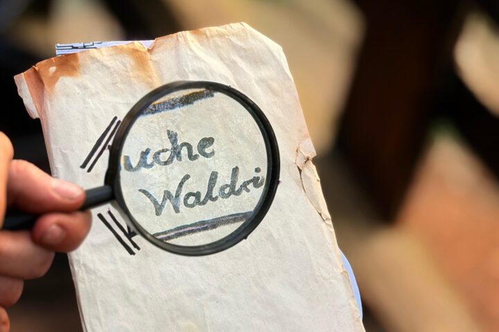 Lupe über einem Hinweis zur Suche nach Waldri